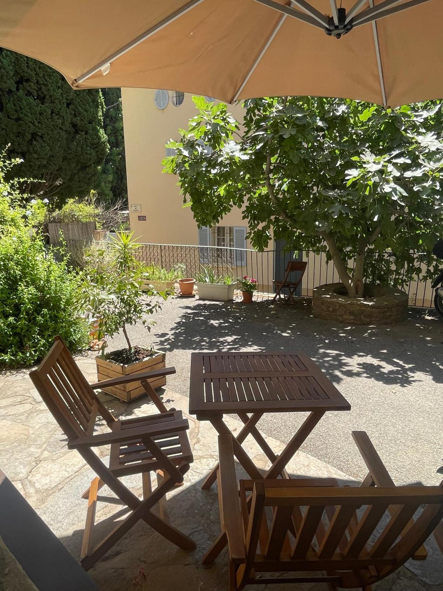 Cosy Studio - Place Du Figuier Bormes-les-Mimosas Eksteriør bilde